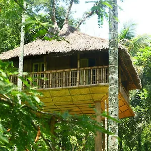 https://kalidasa-tree-house-and-villa.kerala-hotels.net